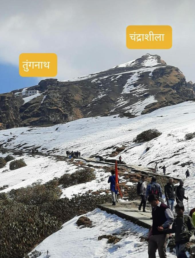 Pandava'S Cafe & Stay Chopta Eksteriør bilde